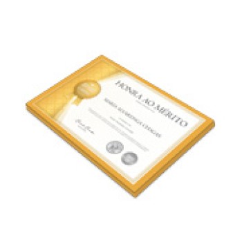 CERTIFICADOS 300X210MM COUCHE 275G Colorido frente - 20 un.