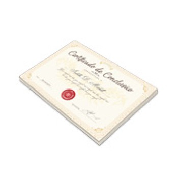 CERTIFICADOS 300X210MM COUCHE 275G Colorido frente - 2 un.