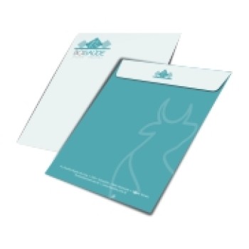 ENVELOPES APERGAMINHADO  90G MEIO SACO 166X240MM Colorido frente - 10 un.