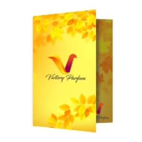 PASTAS COUCHE 300G VINCO VERNIZ UV TOTAL FR Colorido frente e verso - 1000 un.