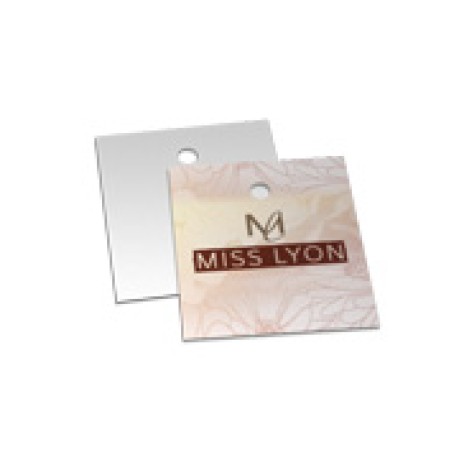 TAGS TAGS PADRAO FURO COUCHE 250G VERNIZ UV TOTAL FR 45X51MM Colorido frente - 1000 un.